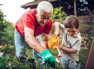 A grandfather gardening with his grandson